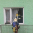 Spoluprce s IZS